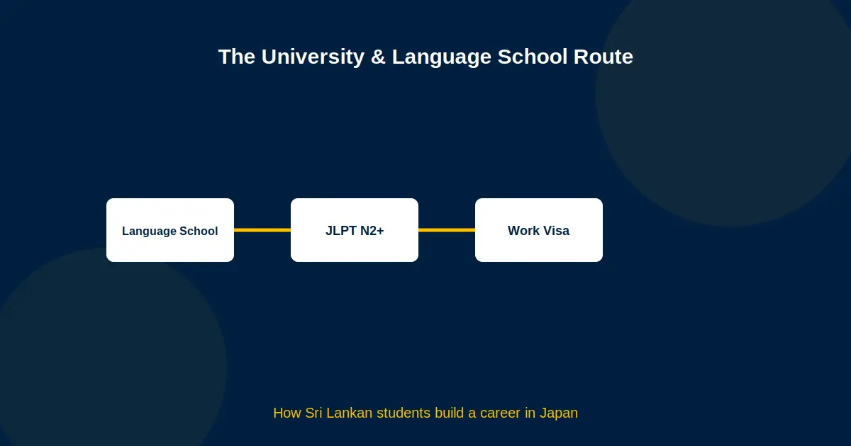 The University & Language School Route: How Sri Lankan Students Build a Career in Japan